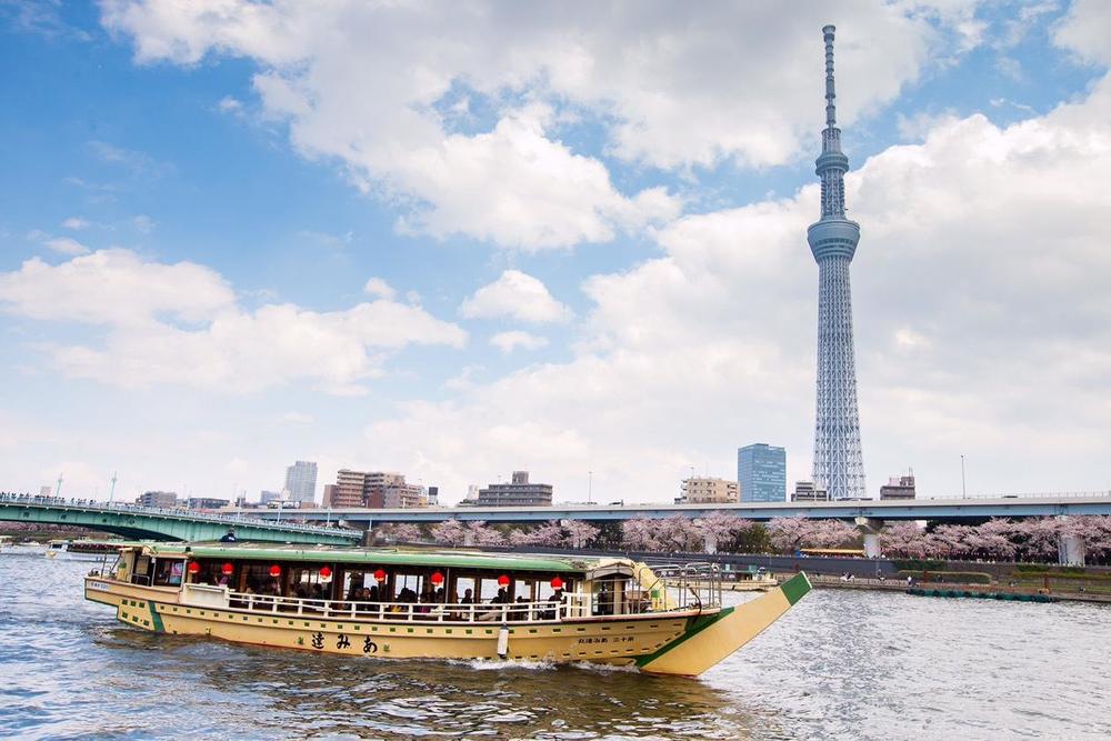 hanami cruise tokyo