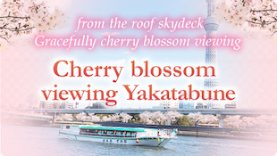 Yakatabune Amitatsu Cherryblossom
