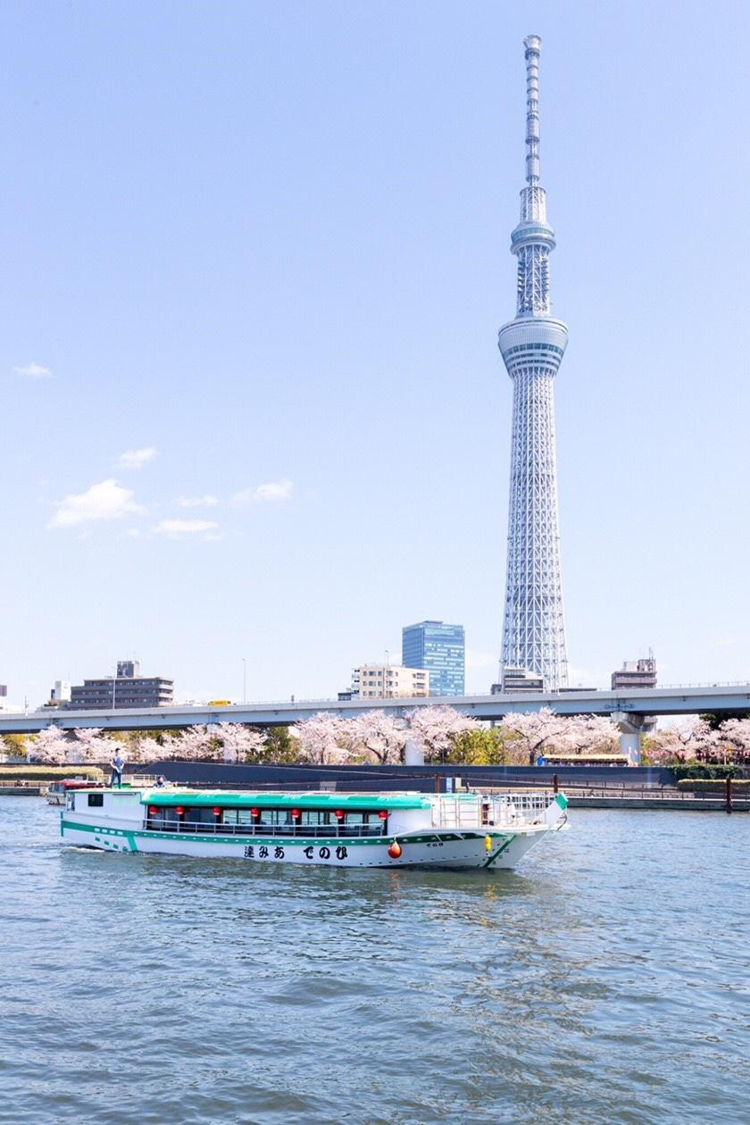 hanami cruise tokyo