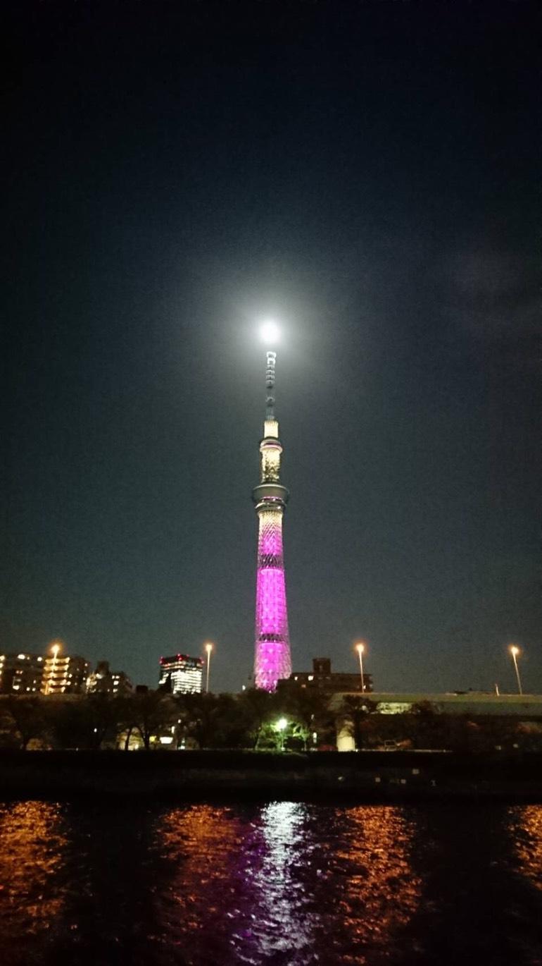 満月 屋形船の船宿あみ達 東京浅草スカイツリー お台場遊覧