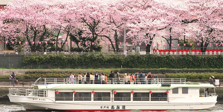 隅田川お花見コース イメージ写真