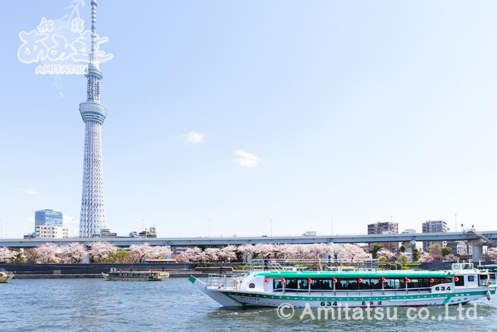 Sumida-gawa Bokutei One thousand cherry tree